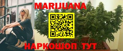 шишки Кимры